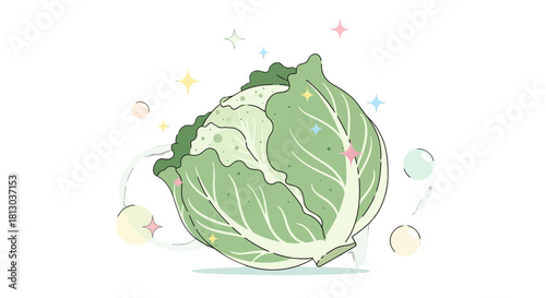 Sparkling Cabbage Illustration Depicting Fresh Green Produce and Natural Organic Food