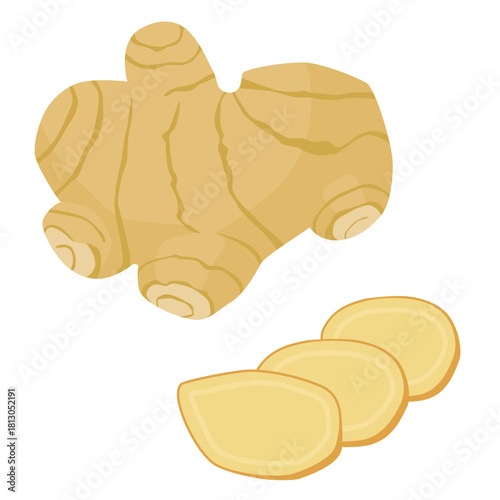 しょうが一個と切ったしょうがのイラスト