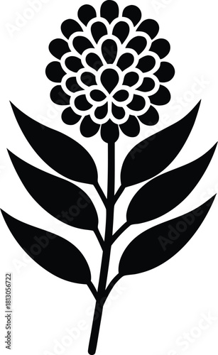 Elegant wattle flower logo design with natural colors
