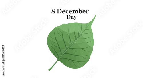 Green leaf with veins and stem isolated on white background.