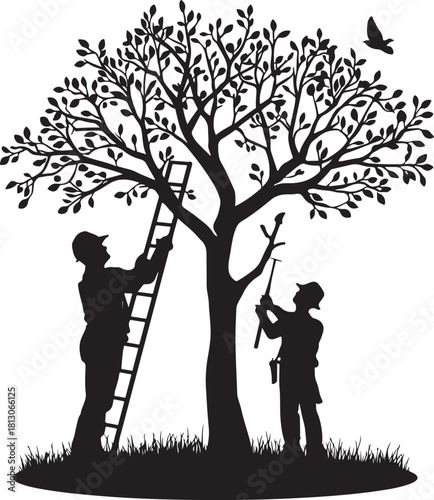 2 person pruning tree branches silhouette