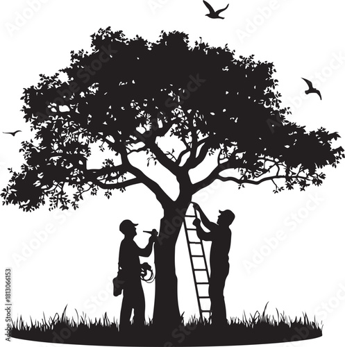 2 person pruning tree branches silhouette