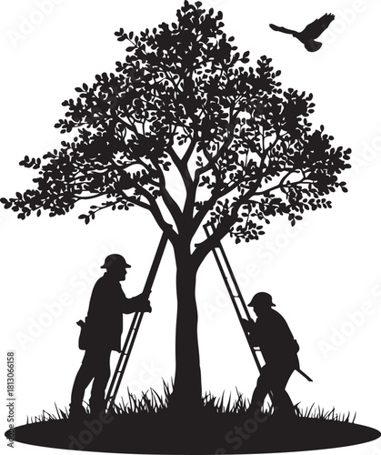2 person pruning tree branches silhouette