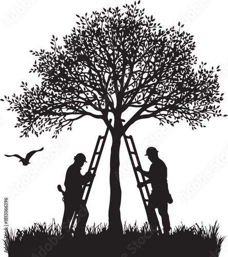 2 person pruning tree branches silhouette