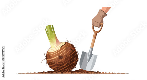 Unearthing The Giant Root: A Botanical Illustration Of Harvest And Cultivation