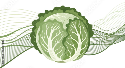 Vibrant Cabbage Illustration with Organic Lines Overlays and a Sleek, Dark Backdrop