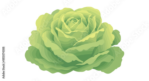 Vibrant Green Rose Blooms Against a Deep Black Backdrop, Stunning Botanical Beauty