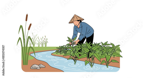 Water Spinach Farmer Harvesting Crops Next To The Tranquil River Stream