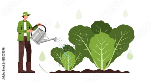 Watering Vegetables: A Gardener Caring for Healthy Leafy Green Plants in the Garden