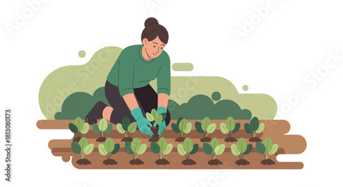 Woman Gardening and Planting Seedlings in the Garden for Fresh Vegetables Cultivation