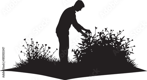 man picking flowers silhouette