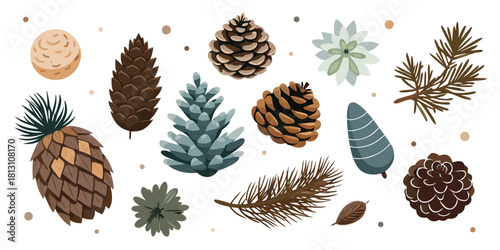 Pinecones cones christmas winter nature forest botanical evergreen holiday decor