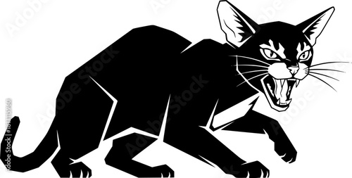 Abyssinians cat in an angry mood, fighting pose, roaring cat, Alert Abyssinian Cat Hunting Stalking Crouch Silhouette
