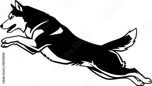 Dynamic Husky Jumping Silhouettes, Siberian husky dog vector silhouette Husky Power II Mascot, Husky dog poses. Cartoon running
