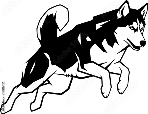 Dynamic Husky Jumping Silhouettes, Siberian husky dog vector silhouette Husky Power II Mascot, Husky dog poses. Cartoon running
