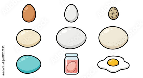 Cartoon Egg Collection: Quail, Chicken, and Fried Egg Icons