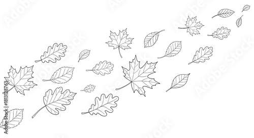 Dotted line drawing of diverse autumn leaves, including maple and oak, gracefully blowing across a white background, embodying the spirit of fall.