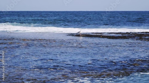 한국의 아름다운 바다 항구 풍경과 등대