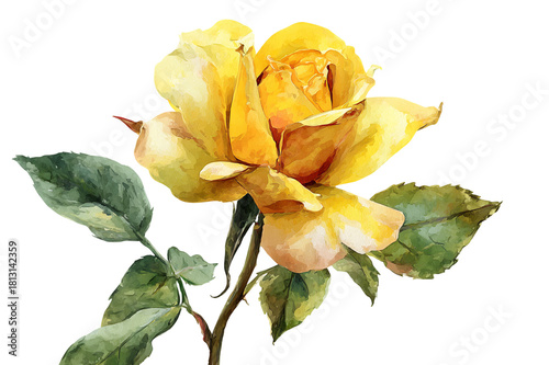 Watercolor Painting of a Yellow Rose with Green Leaves on Transparent Background Floral Illustration Delicate Petals Artistic Decoration for Print and Design, PNG