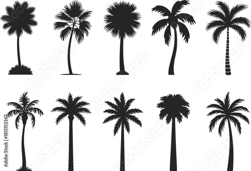 Collection of tropical palm tree silhouettes showing diverse shapes, exotic foliage, summer nature design elements, paradise vacation symbols, isolated on white background