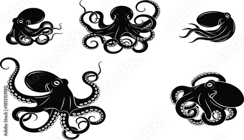 Black and white octopus illustration, marine animal drawing, underwater sea creature vector, detailed tentacle artwork, aquatic wildlife design, ocean graphic art
