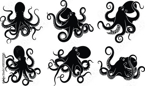 Black and white octopus illustration, marine animal drawing, underwater sea creature vector, detailed tentacle artwork, aquatic wildlife design, ocean graphic art