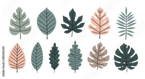 A variety of hand-drawn tropical leaves in various colors and shapes on a white background.