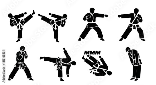 Dynamic martial artists showcase powerful kicks punches and throws capturing the essence of combat sports discipline and athletic prowess