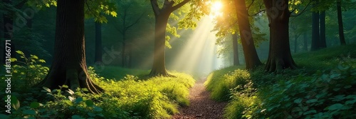 Sunlight streams through a dense forest canopy, illuminating a path winding deeper into the woods The trees stand tall and majestic, creating a sense of mystery and adventure , winding, exploration