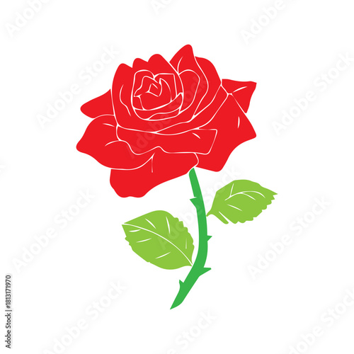 Red Rose Illustration Design