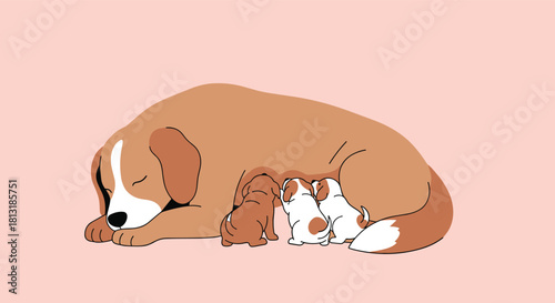 A peaceful mother dog sleeps as her three cute puppies nurse, illustrating a tender moment of early life and maternal care.