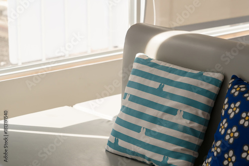 Two decorative pillows on a light-colored sofa, one with cartoon dog design and the other with a daisy floral pattern