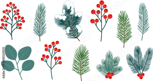 A collection of hand-drawn winter botanical illustrations featuring festive pine branches, snowy twigs, red berries, and eucalyptus leaves isolated on a white background