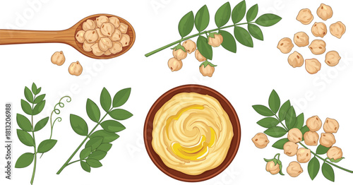 Chickpeas, hummus, healthy food, Middle Eastern cuisine, plant-based protein, vegan snack, organic ingredients, cooking concept, natural diet, culinary illustration