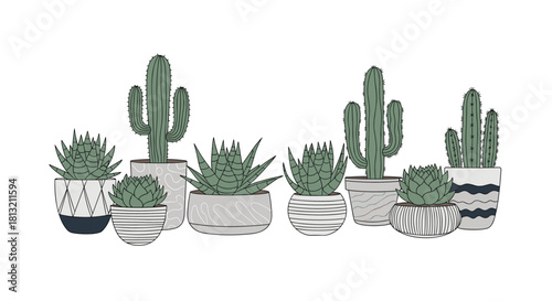 A charming hand-drawn illustration of various cactus and succulent plants in a collection of stylish decorative ceramic pots.