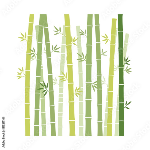 Zen bamboo forest background in calming green tones, perfect for wellness brands and nature-inspired designs, creating a serene and peaceful atmosphere