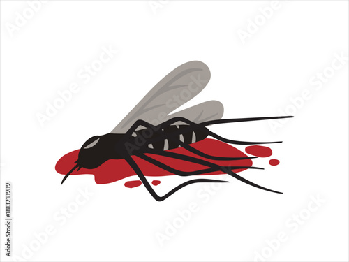 Mosquito Aedes Aegypti
