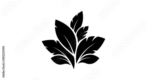 Feather plume element with transparent background