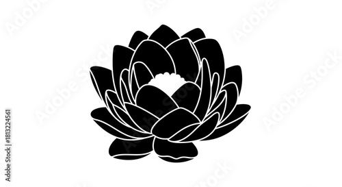 Lotus flower outline with transparent background
