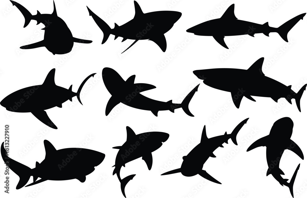 Fototapeta premium Comprehensive vector silhouette collection of various shark species, isolated black marine predators for ocean danger and wildlife illustration.