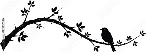Bird Perched on Thorny Branch Silhouette Vector, Songbird on Spiked Twig Black Graphic, Nature Wildlife Danger Symbol, Contrast Concept Design Element