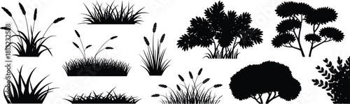 Nature vector silhouette collection featuring grass tufts, reeds, leafy shrubs, and trees, isolated black plants for landscape design.