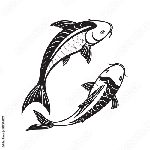 Koi fish illustration Vector