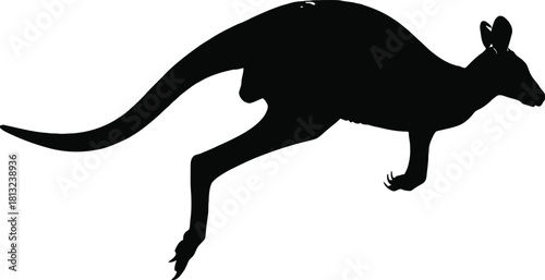 Silhouette of a kangaroo jumping isolated on white background.