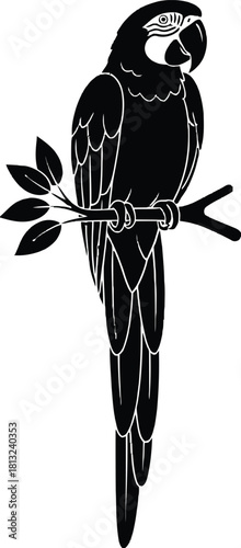 Silhouette of a macaw perched on a branch isolated on white background.