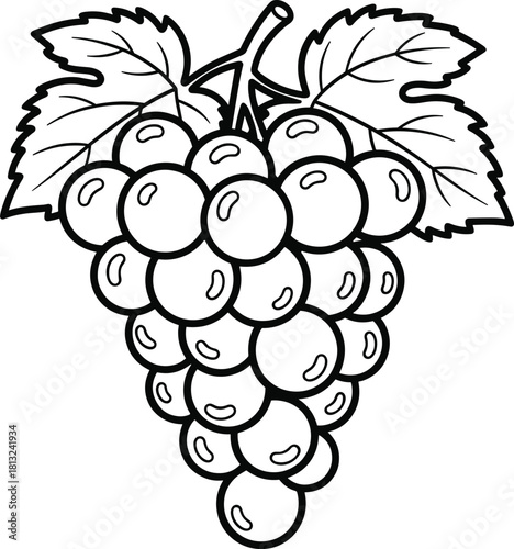 Fresh grape bunch outline vector illustration with detailed leaves in black and white style, perfect for logo, coloring, or design.