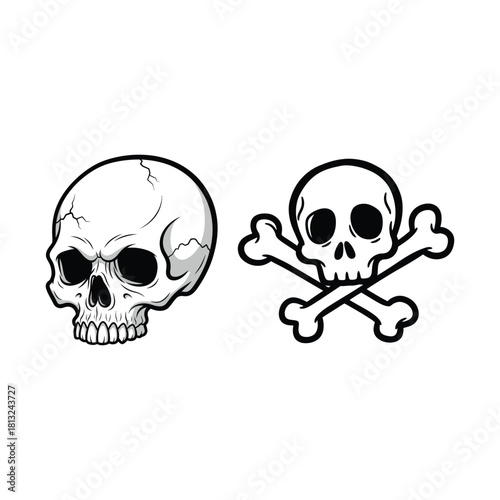 Skull and Crossbones Illustration skeleton death pirate halloween danger symbol warning toxic poison anatomy drawing cartoon graphic