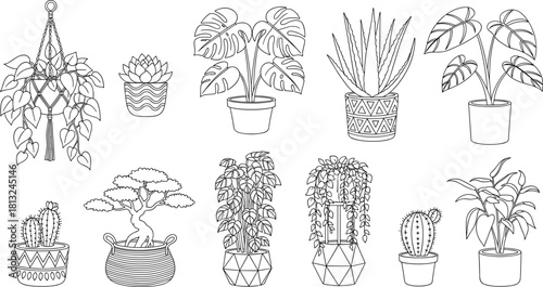 Hand drawn houseplants collection, potted plants line art set, black and white vector, monstera, cactus, bonsai, succulent, and macrame sketches.