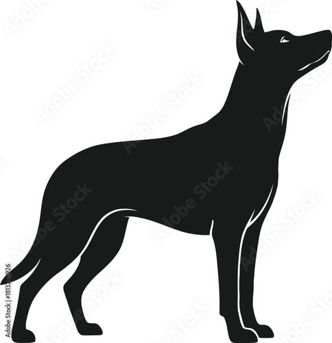 Elegant black dog silhouette standing isolated on white background.