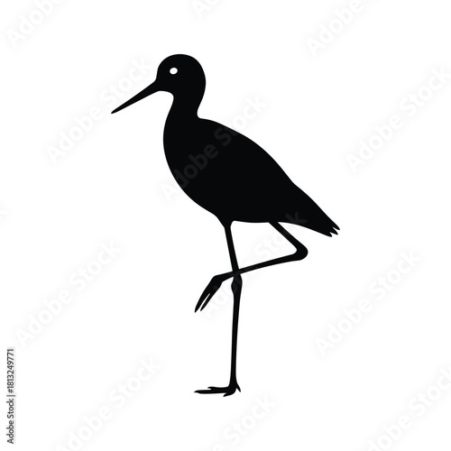 Black silhouette of a wading bird standing on one leg shorebird